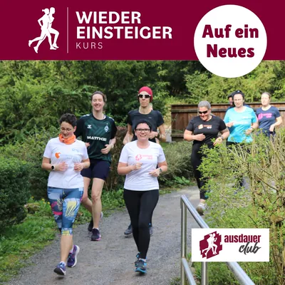 Kurs Wiedereinsteiger: Laufgruppe auf einem Waldweg